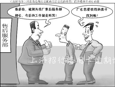 上海招行信用卡逾期协商减免/2023030127594