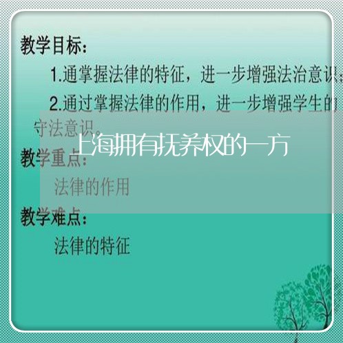 上海拥有抚养权的一方/2023032148583