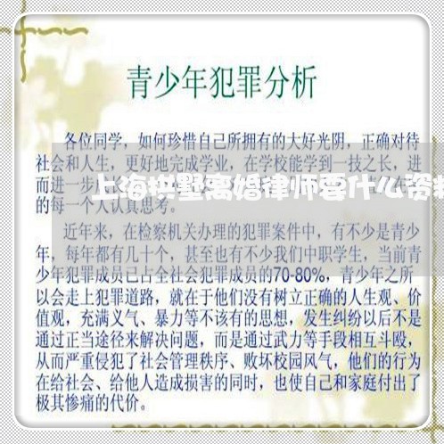 上海拱墅离婚律师要什么资料/2023032686046