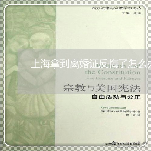 上海拿到离婚证反悔了怎么办/2023032659252