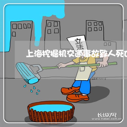 上海挖掘机交通事故致人死亡/2023032628292 上海挖掘机交通事故致人死亡/2023032628292