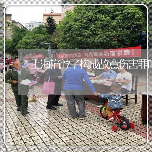 上海掐脖子构成故意伤害罪吗/2023032696178 上海掐脖子构成故意伤害罪吗/2023032696178