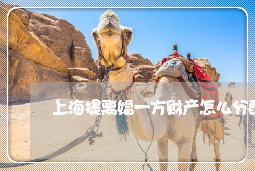 上海提离婚一方财产怎么分配/2023032628379 上海提离婚一方财产怎么分配/2023032628379