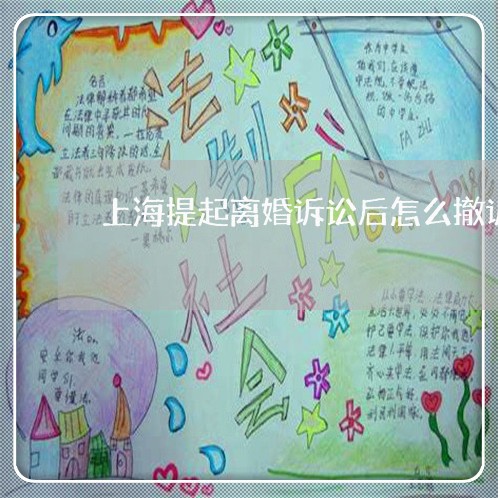上海提起离婚诉讼后怎么撤诉/2023032687515