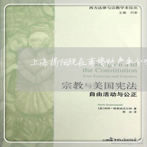 上海揭阳现在离婚财产平分吗/2023032696071 上海揭阳现在离婚财产平分吗/2023032696071