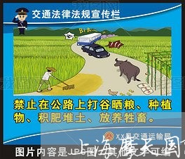 上海摩天国际城附近交通事故/2023032650692