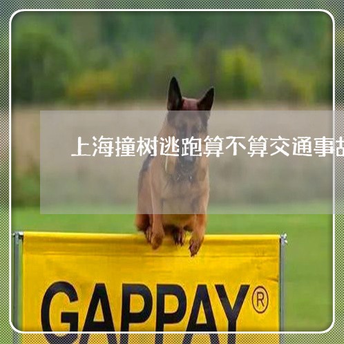上海撞树逃跑算不算交通事故/2023032683824