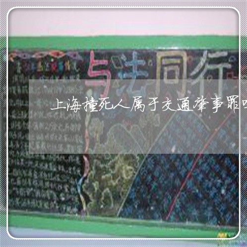 上海撞死人属于交通肇事罪吗/2023032630483