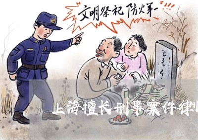 上海擅长刑事案件律师哪里找/2023032616158