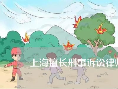 上海擅长刑事诉讼律师多少钱/2023032661460