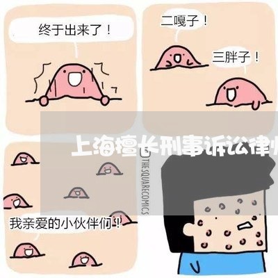 上海擅长刑事诉讼律师多少钱/2023032683725