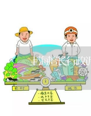 上海擅长行政诉讼的律师律师/2023032618150