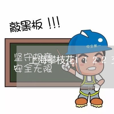 上海攀枝花1122交通事故/2023032638248