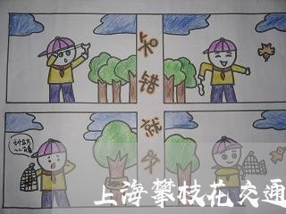上海攀枝花交通事故2018/2023032610371