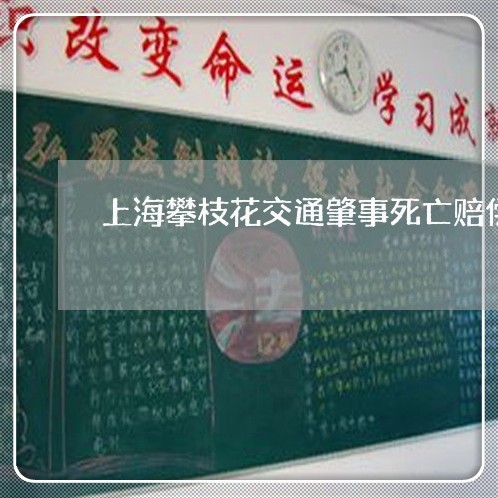 上海攀枝花交通肇事死亡赔偿/2023032617051