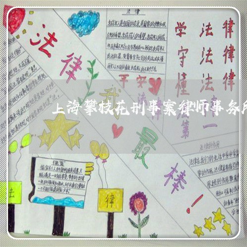 上海攀枝花刑事案律师事务所/2023032687260 上海攀枝花刑事案律师事务所/2023032687260