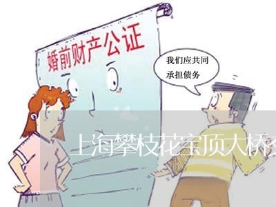 上海攀枝花宝顶大桥交通事故/2023032604625 上海攀枝花宝顶大桥交通事故/2023032604625