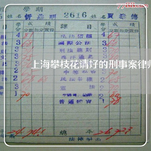 上海攀枝花请好的刑事案律师/2023032642504 上海攀枝花请好的刑事案律师/2023032642504