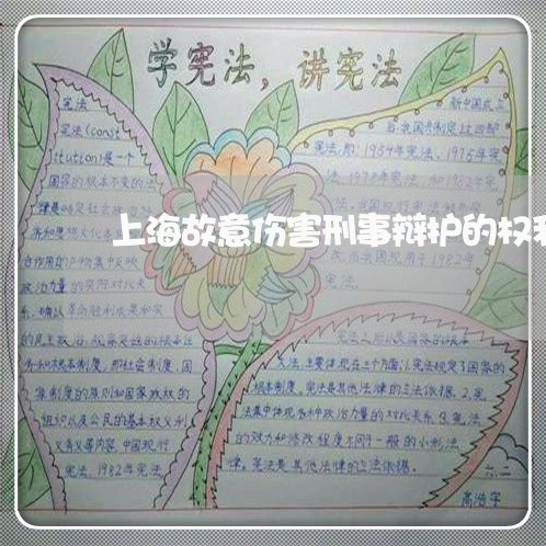上海故意伤害刑事辩护的权利/2023032616838