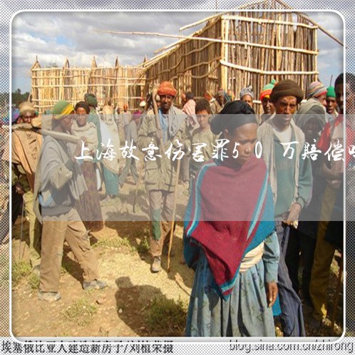 上海故意伤害罪50万赔偿吗/2023032628160