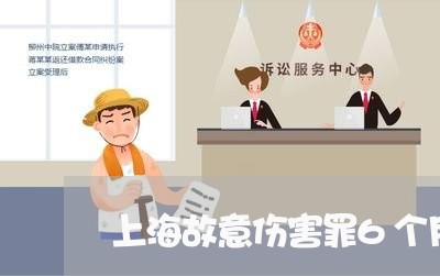 上海故意伤害罪6个月判多久/2023032618059