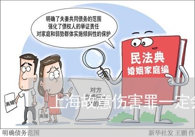 上海故意伤害罪一定会判刑吗/2023032650603