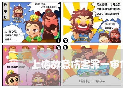 上海故意伤害罪一审什么意思/2023032662715