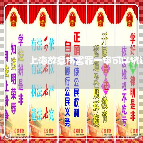 上海故意伤害罪一审可以抗诉/2023032645048 上海故意伤害罪一审可以抗诉/2023032645048