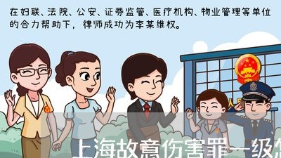 上海故意伤害罪一级怎样判刑/2023032637240 上海故意伤害罪一级怎样判刑/2023032637240
