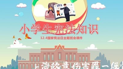 上海故意伤害罪一级骨折判刑/2023032636272