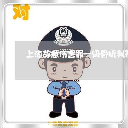 上海故意伤害罪一级骨折判刑/2023032640492