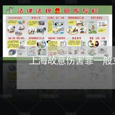 上海故意伤害罪一般立案标准/2023032616960