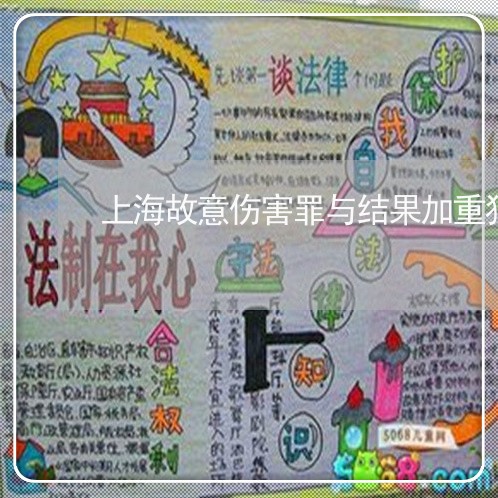 上海故意伤害罪与结果加重犯/2023032605159 上海故意伤害罪与结果加重犯/2023032605159
