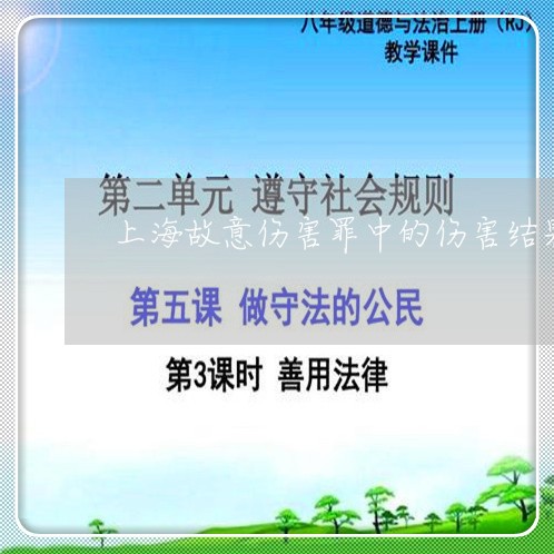 上海故意伤害罪中的伤害结果/2023032673614 上海故意伤害罪中的伤害结果/2023032673614