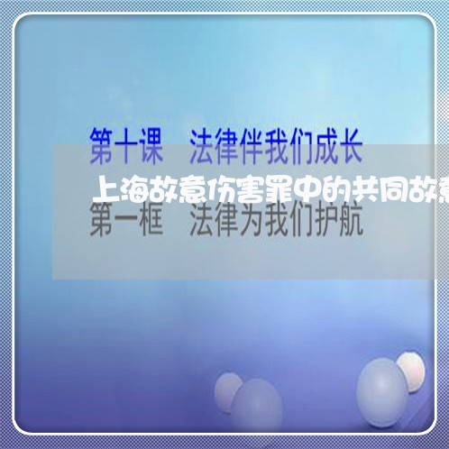 上海故意伤害罪中的共同故意/2023032627149