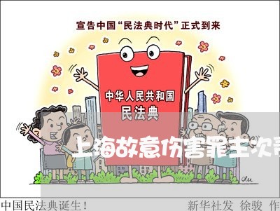 上海故意伤害罪主次责任划分/2023032605927