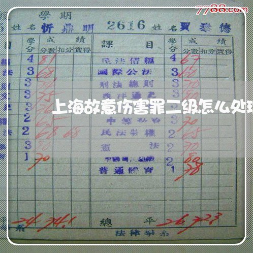 上海故意伤害罪二级怎么处理/2023032628050 上海故意伤害罪二级怎么处理/2023032628050