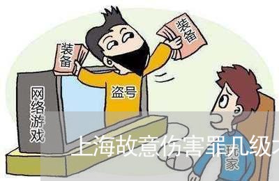 上海故意伤害罪几级才能构成/2023032673037