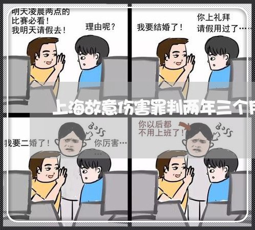 上海故意伤害罪判两年三个月/2023032640351