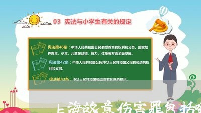 上海故意伤害罪包括哪些罪名/2023032627059 上海故意伤害罪包括哪些罪名/2023032627059