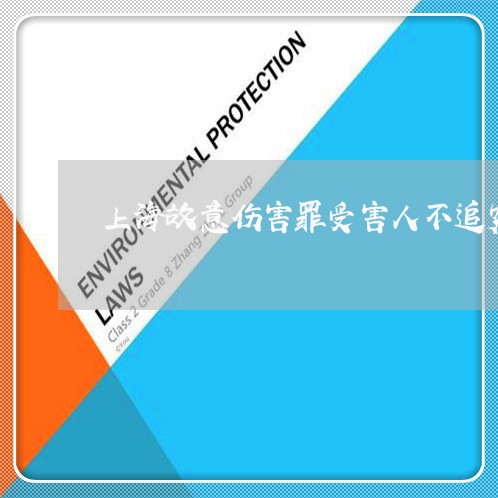 上海故意伤害罪受害人不追究/2023032667494 上海故意伤害罪受害人不追究/2023032667494