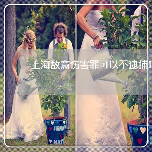 上海故意伤害罪可以不逮捕吗/2023032637240