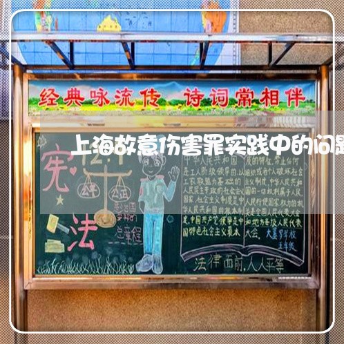 上海故意伤害罪实践中的问题/2023032647038
