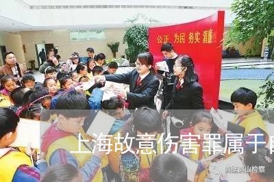 上海故意伤害罪属于自诉案件/2023032694048