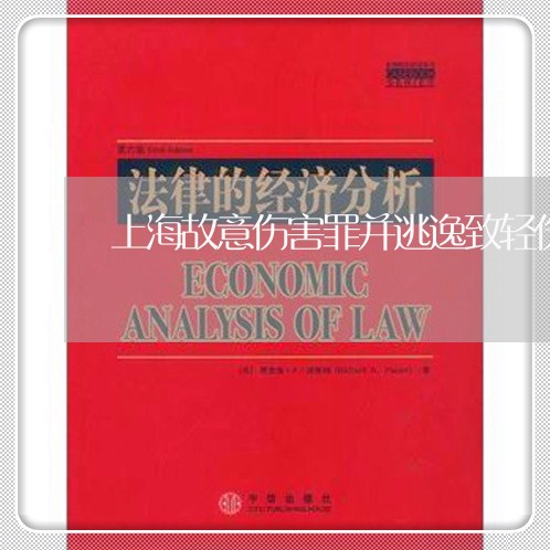 上海故意伤害罪并逃逸致轻伤/2023032696946