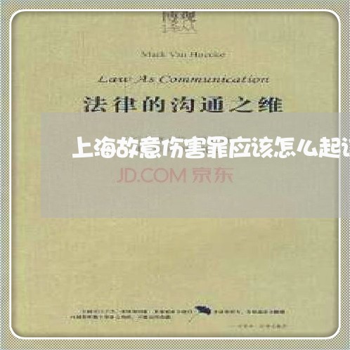 上海故意伤害罪应该怎么起诉/2023032681704