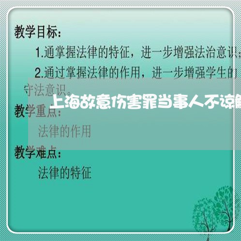 上海故意伤害罪当事人不谅解/2023032681606