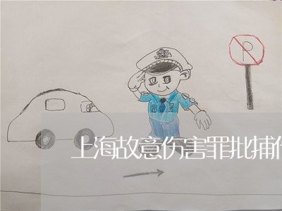 上海故意伤害罪批捕什么意思/2023032627149