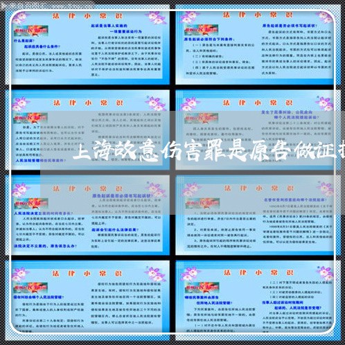 上海故意伤害罪是原告做证据/2023032684513 上海故意伤害罪是原告做证据/2023032684513