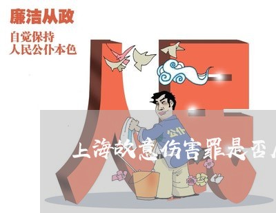 上海故意伤害罪是否属于涉暴/2023032673635